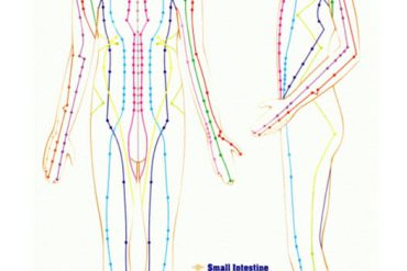 Leaky gut, IBS, Gastritis, Crohn’s, Colitis